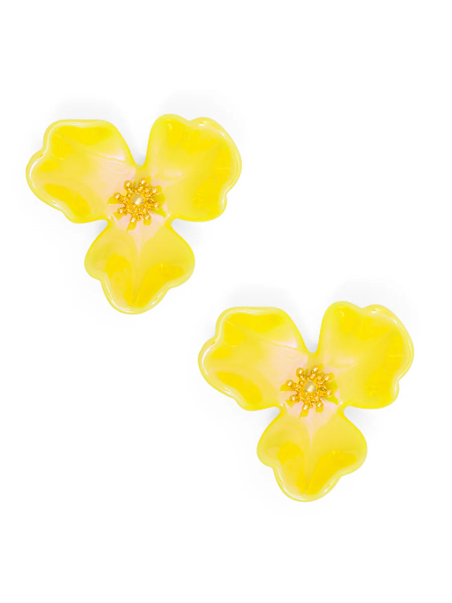 E2848 earrings