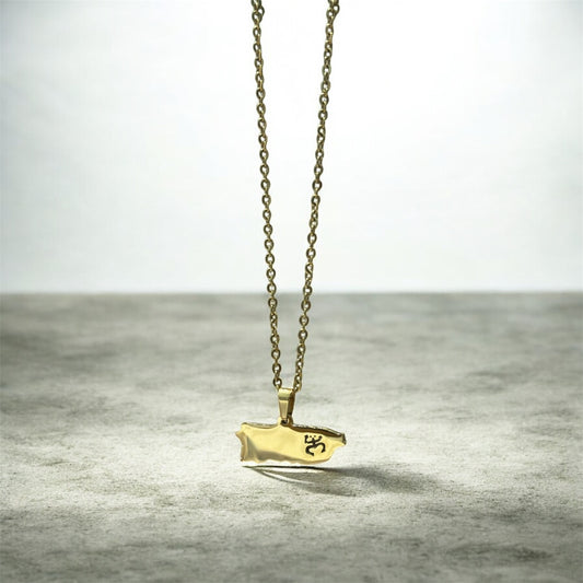 Mapa coquí necklace