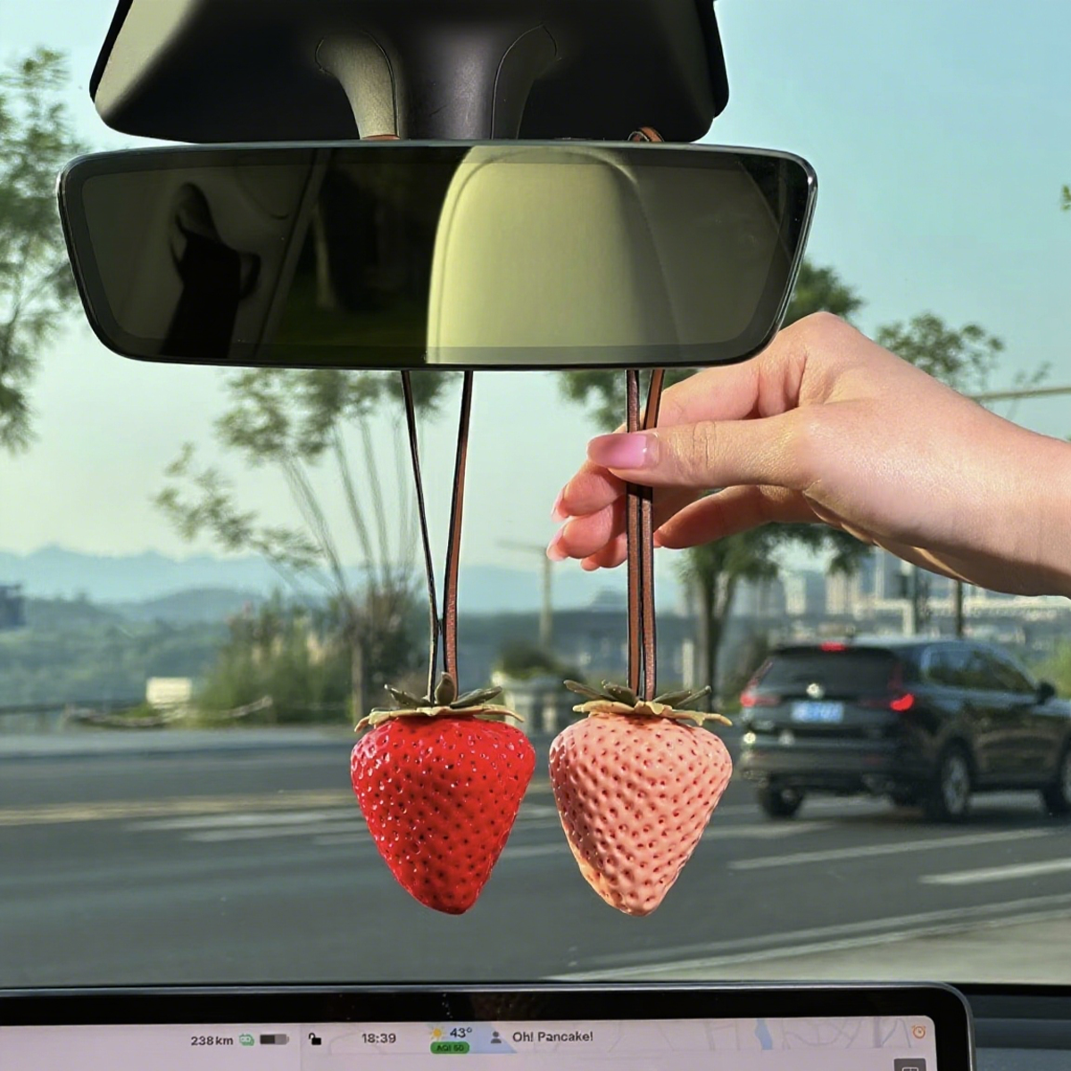 Strawberry bagcharm