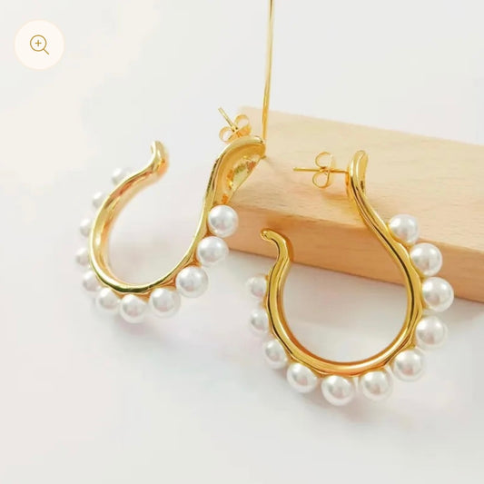 Elegance earrings